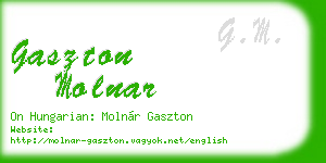 gaszton molnar business card